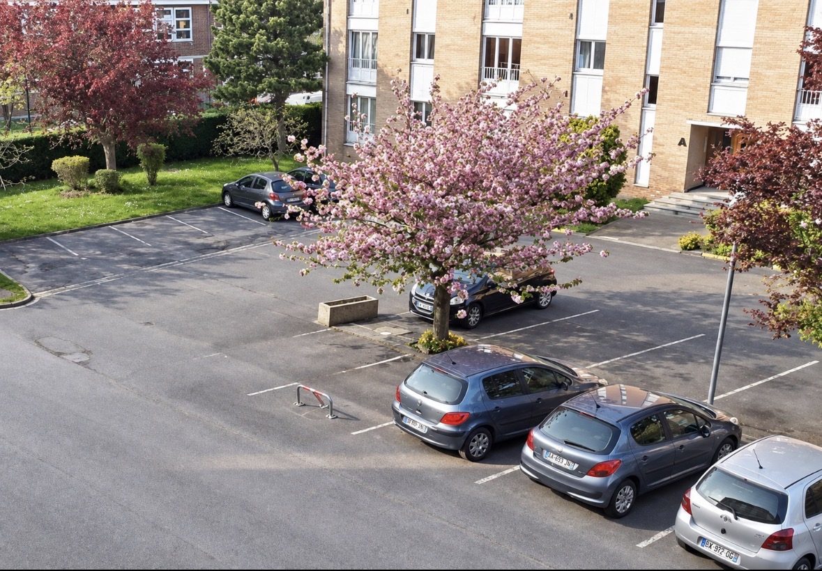Vente Appartement 35m² Loos 2