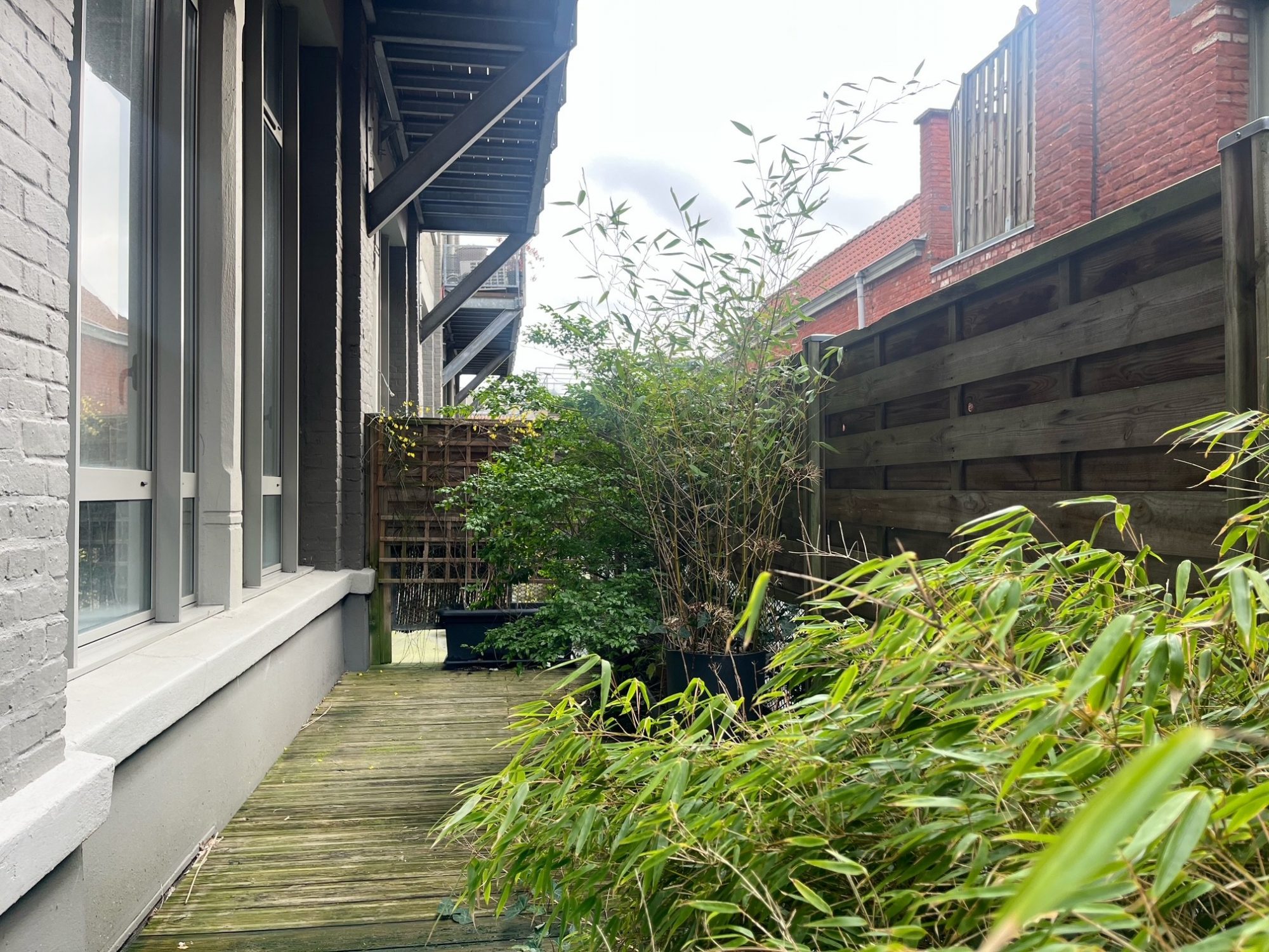 Vente Appartement 164m² Roubaix 5