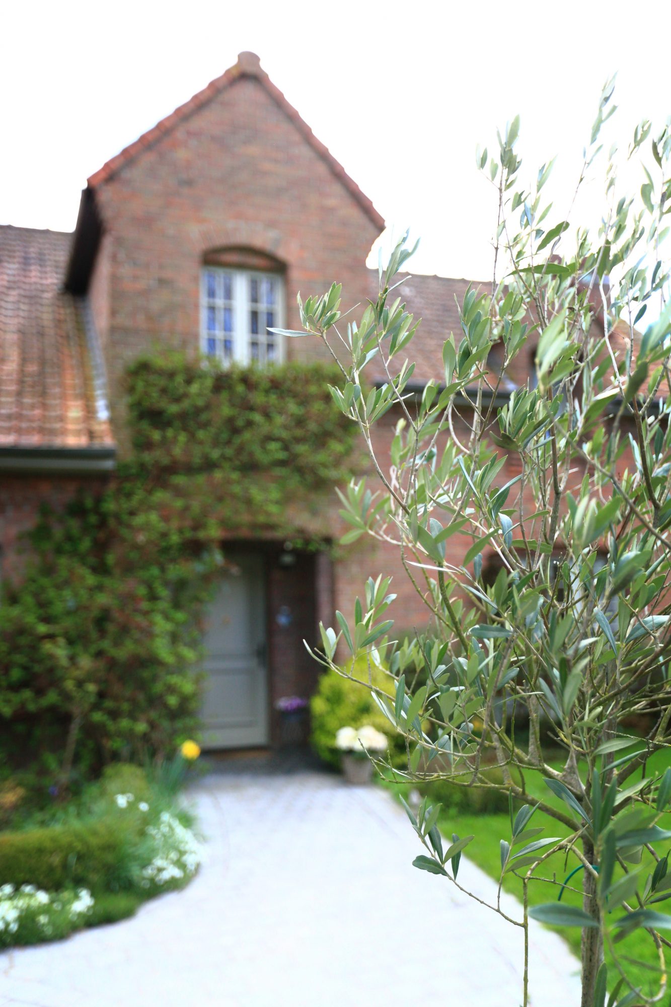 Vente Maison 190m² Lomme 6