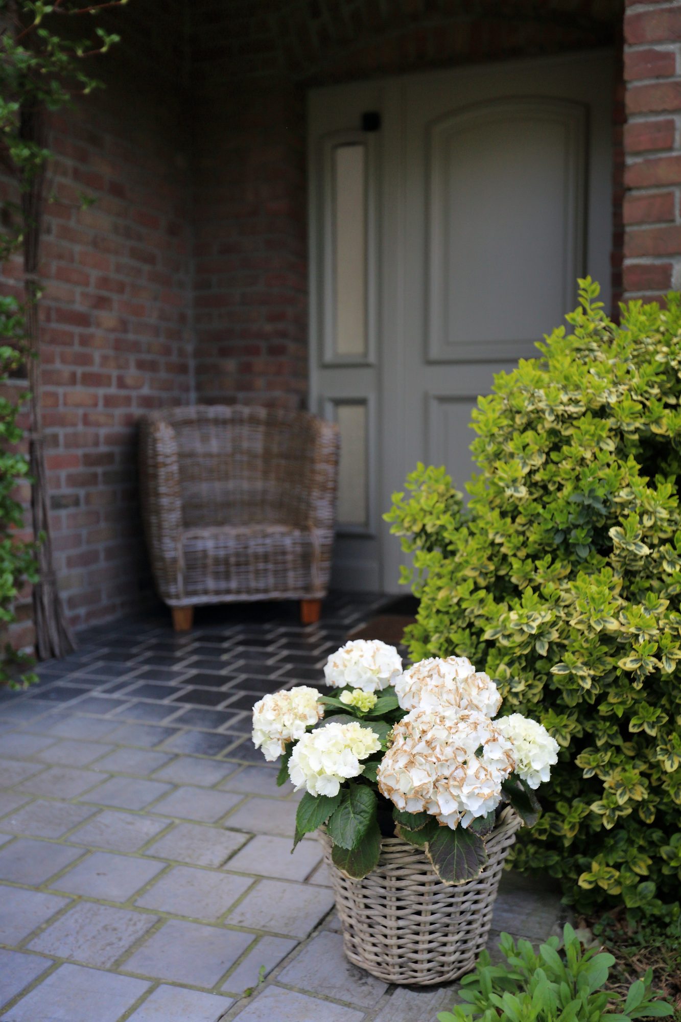 Vente Maison 190m² Lomme 10