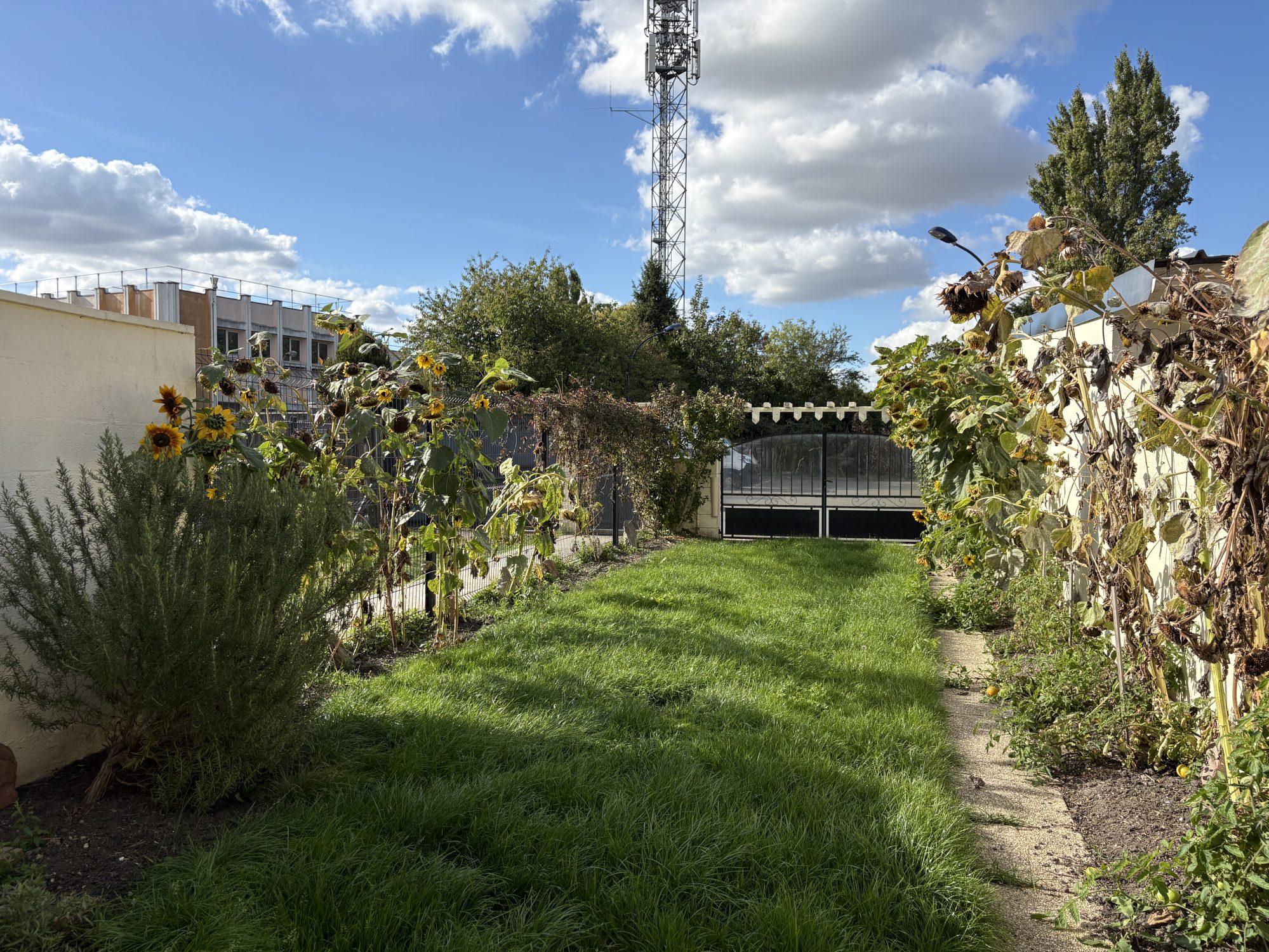 Vente Maison 100m² La Chapelle D Armentieres 2