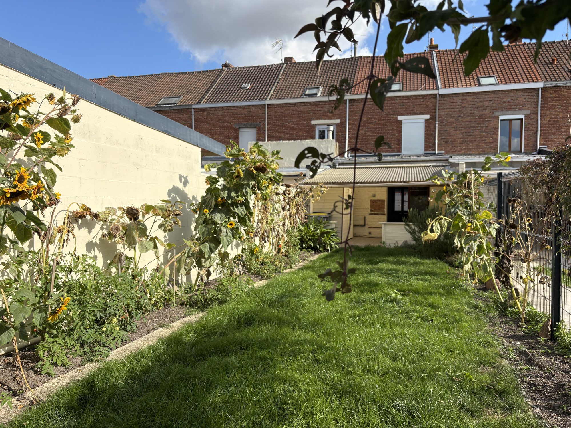 Vente Maison 100m² La Chapelle D Armentieres 11