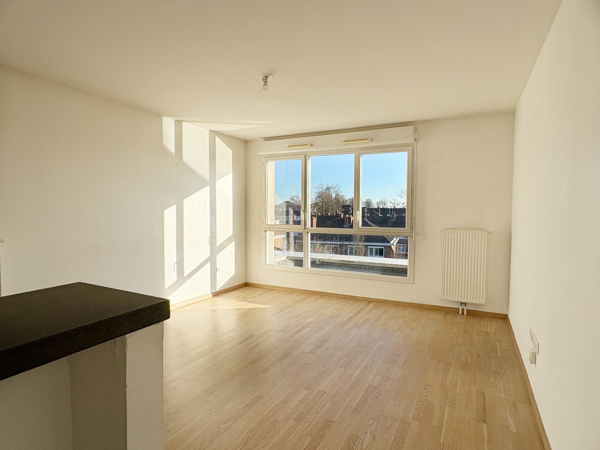 Vente Appartement 65m² Lomme 2