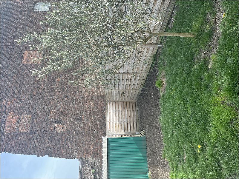 Location Maison/villa 100m² Lomme 7